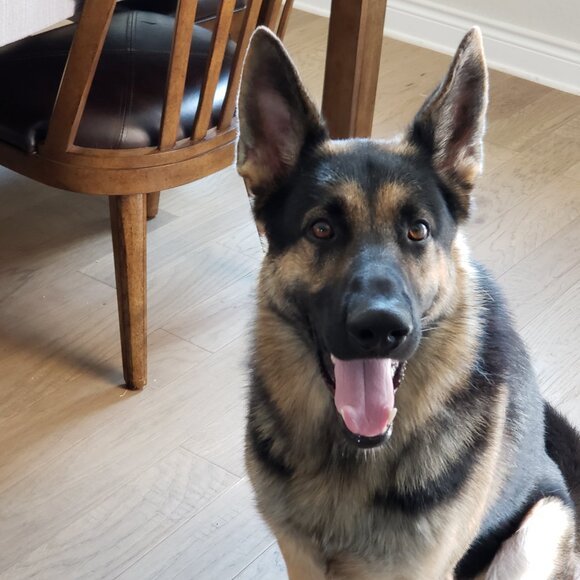 Welcome to my closet. I am open to bundle offers. - Picture 8 of 16